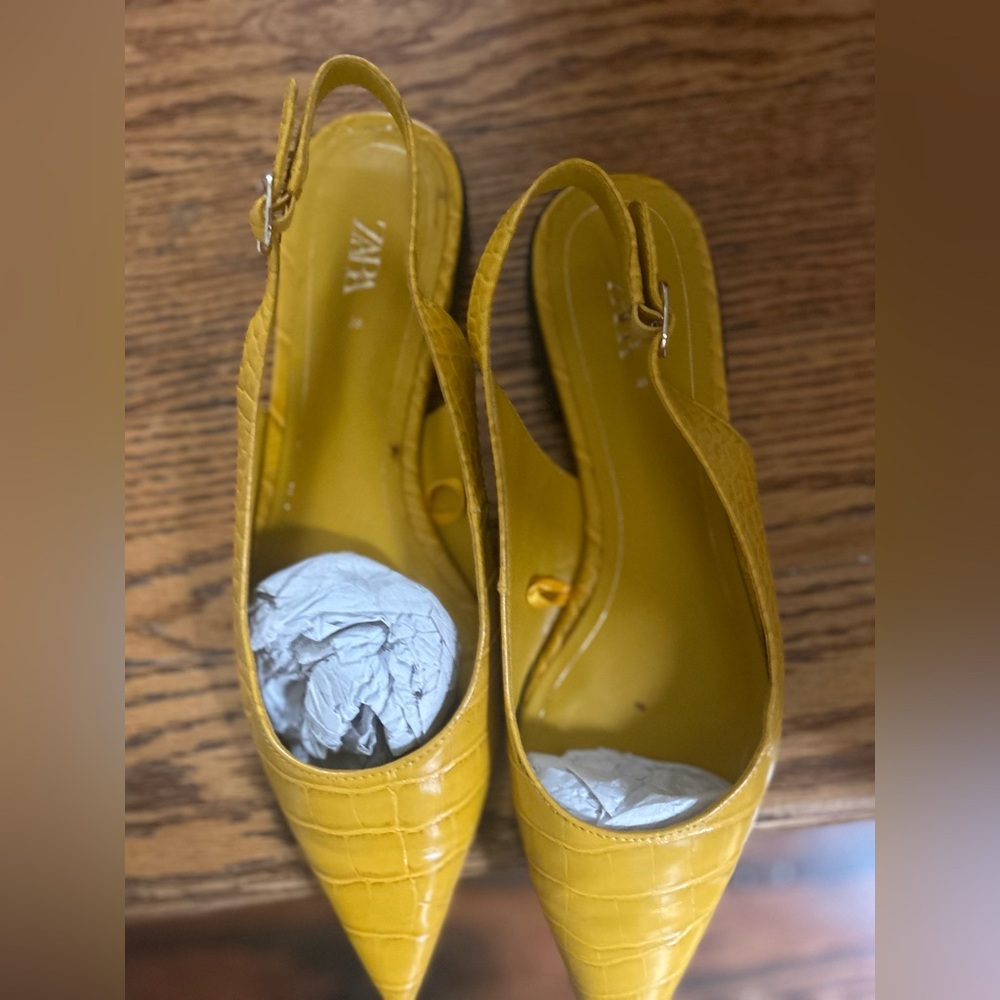 Zara Never worn pointed toe flats